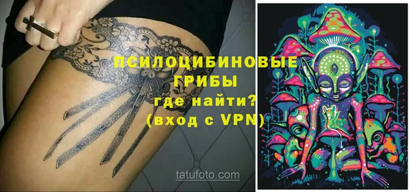 твердый Алзамай